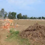 WhatsApp Image 2024-10-01 at 5.57.40 PM (1)