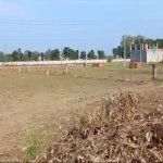 WhatsApp Image 2024-10-01 at 5.57.40 PM